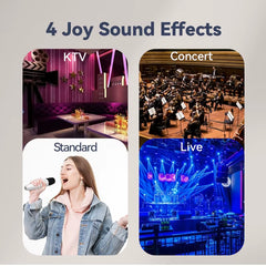 T1-Car Karaoke Microphone, Rechargeable Caraoke Mic with USB-A & USB-C Receiver, Plug to Use，No Need Pair